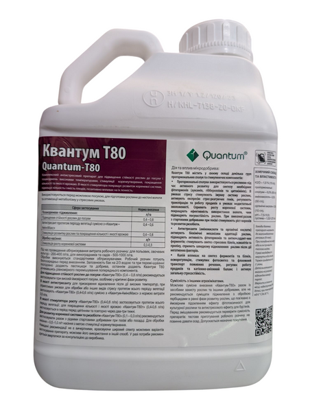 Квантум Т80 5л 4145 фото